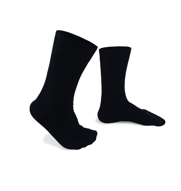 Navy made in France mercerized cotton socks