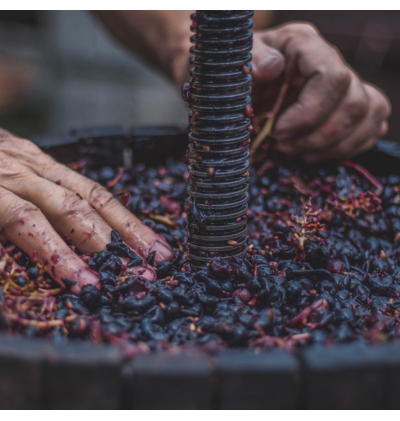 Sac de voyage en cuir de raisin